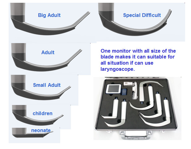 Veterinary flexible Bronchoscopy Fiber Optic Anesthesia video laryngoscopy airway pediatric stainless Miller Macintosh