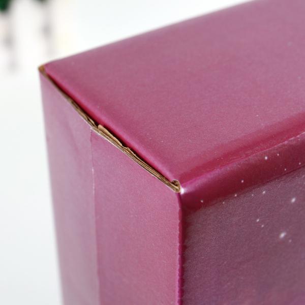 Custom Printed Carton Packaging Boxes , Underwear Packaging Box For Women'S Bra