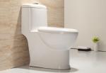 White Ceramic One Piece Toilet with Dual Flush 3L/6L