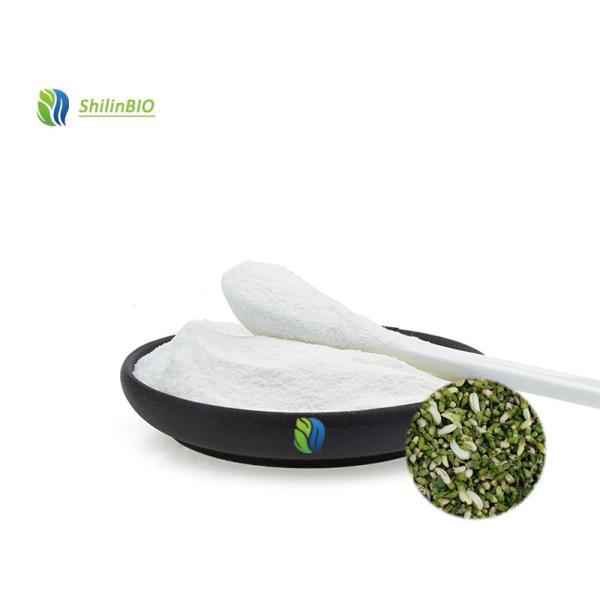 Wholesale Price Genistein Powder Cas 446-72-0 98% Sophora Japonica Extract Powder Genistein