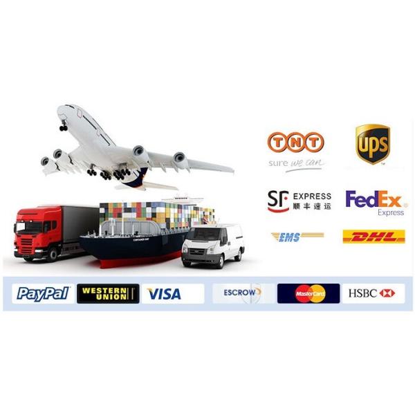 SS 6mm In Line Gas Strainers High Pressure Applied To Liquid Gas