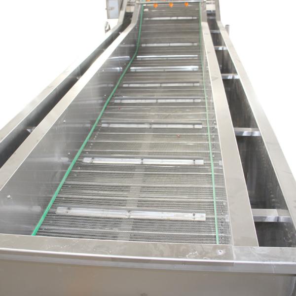 Fresh Fruit Mango Apple Cleaning Machine 400kg Air Bubble Washing Machine