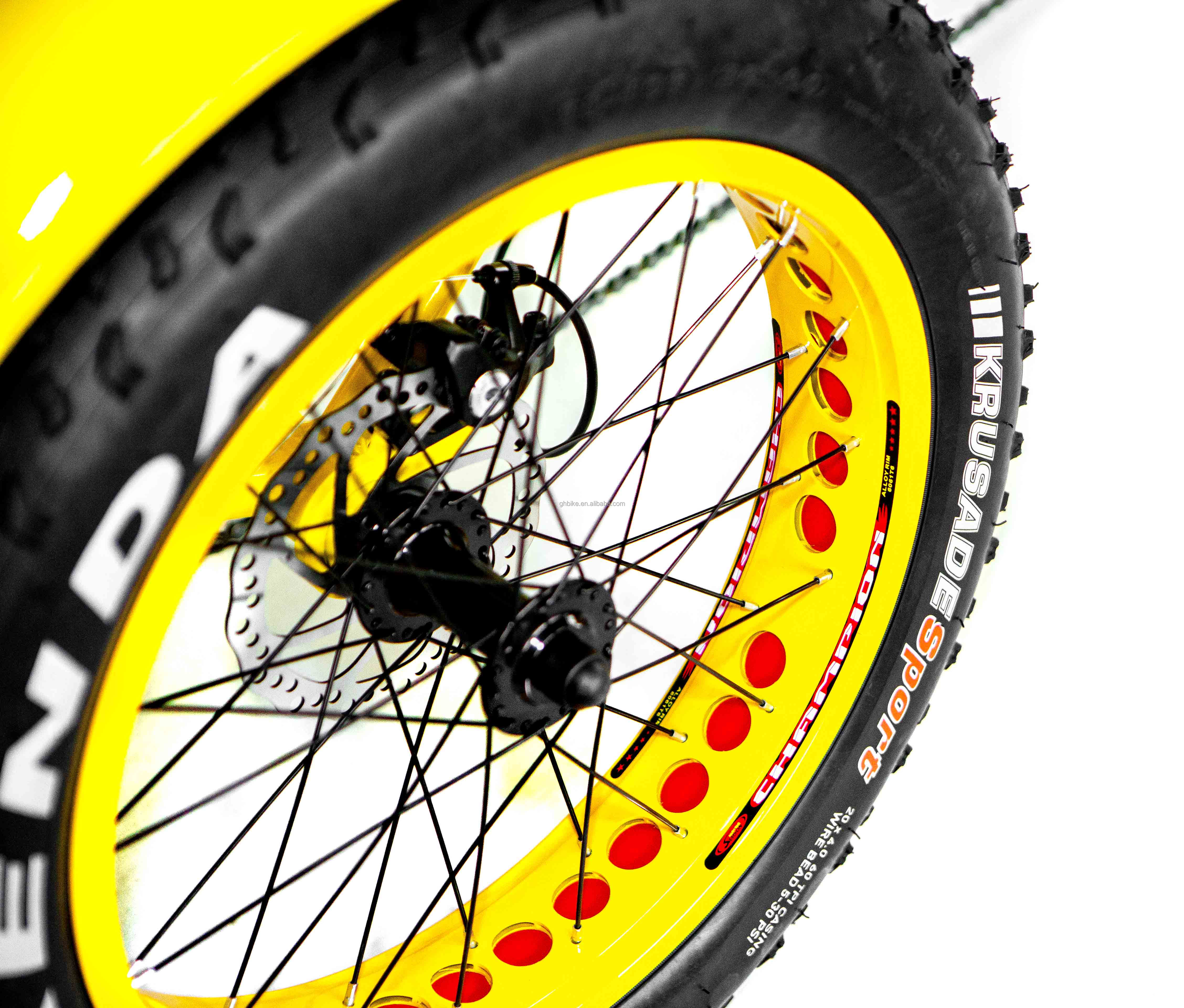 24" Electric Etrike Tricycle with 750W Motor and 21AH Lithium Battery 40KM/H Max Speed