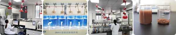 ISO/CE Aluminium Sulphate Flocculant Water Treatment Flocculating Agent Al2(SO4)3