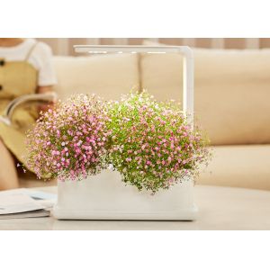 Quality Led Light 12V 9W Gardening PVC Hydroponic Herb Planter wholesale