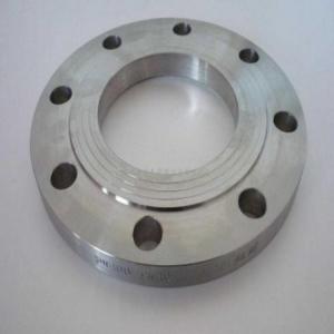 China BS4504 DIN Pn16 Forging Plate RF Stainless Steel ASTM A182 304 316L 904 2205 2 Inch Pipe Flange on sale