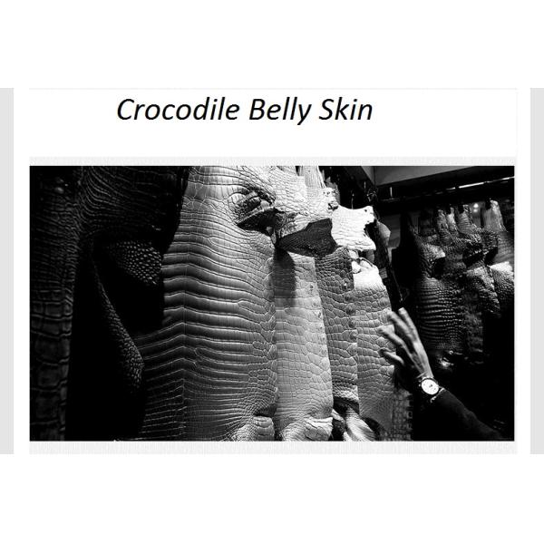 Genuine Real True Crocodile Belly Skin Male Clutch Purse Men's Long Wallet Authentic Alligator Leather Large Card Holder