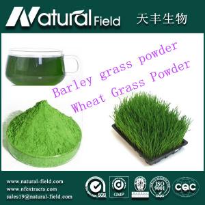 Quality 25:1organic barley grass juice powder wholesale