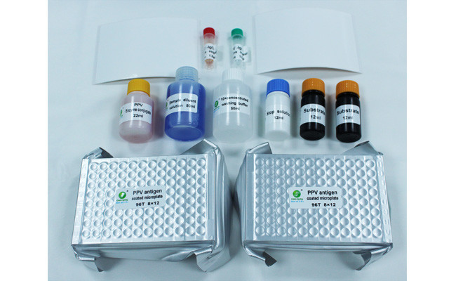 10min Porcine Parvovirus Test Kit Rapid Test Rtk For Pig 192 Wells/Kit GMP