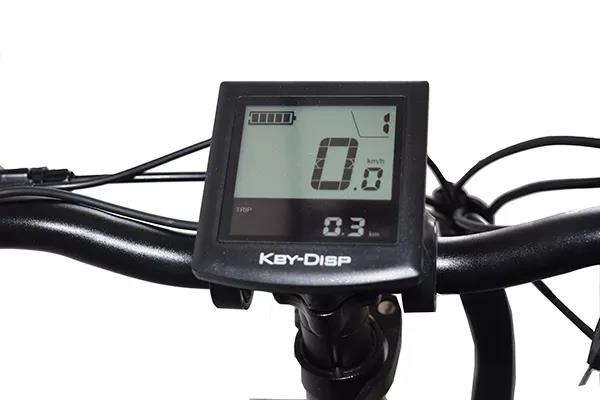 Disc Brake Electric Bike 2022 Version Snow Beach Fast Speed Customized E Bicycle 2 Seats