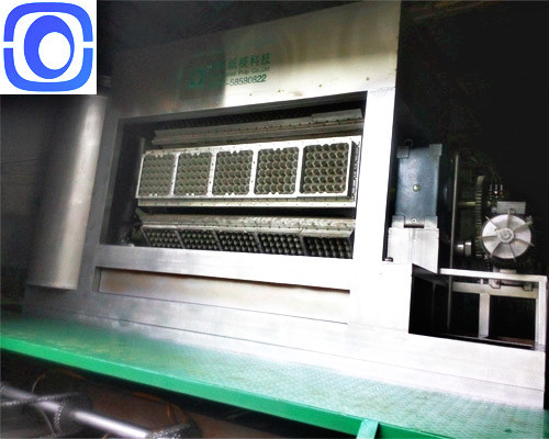 CE Certified Pulp Egg Tray Machine Customized Fruit Tray Machine