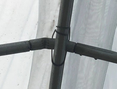 Easy Assembled Waterproof PE Film Prefabricated Single Span Tunnel Greenhouse for Strawberry Tomato Flower