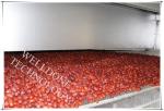 Durable Continuous Belt Dryer , Explosion Resistance Conveyor Dryer Machine