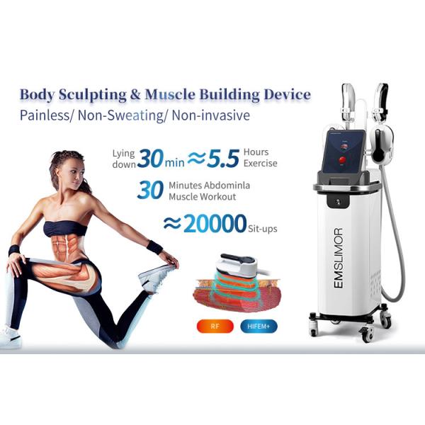 4 Handle RF Muscle Sculpt Fat Reduce Manufacturer EMS Sculpt RF Body Sculpt Machine