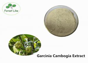 Quality Food Grade Garcinia Cambogia Extract 60% Hydroxy Citric Acid Pure Plant Extract wholesale