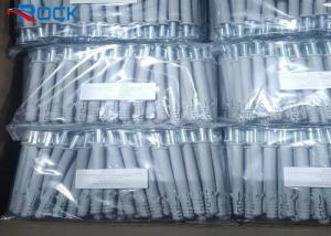 Quality Stainless Steel Expansion Nail 10*160mm White Plastic Wall Anchor wholesale