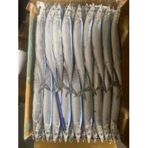 Quality 2# BQF Frozen Pacific Saury Fish With High Protein wholesale