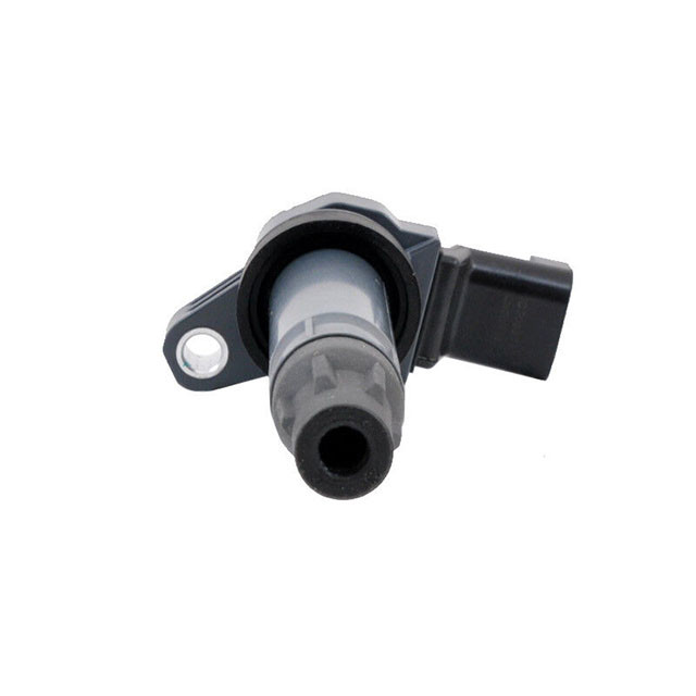 Factory Price High Quality Support For Custom Ignition Coils The Ignition Coil 9023781