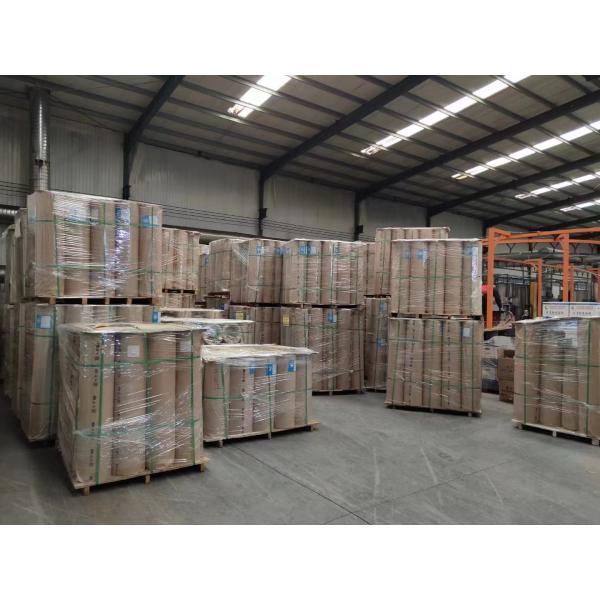 Powder Coated Security Screen Mesh T316 Stainless Steel Insect Screen