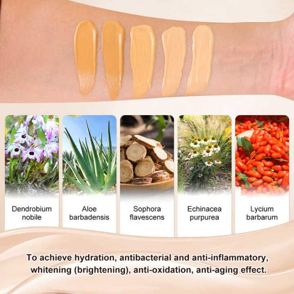 Long Lasting High Quality Make up Cream Private Label Full Coverage Waterproof and Matte Makeup Liquid Foundation