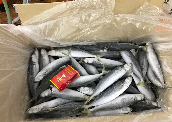 Seafood Health High Protein 100g 120g Frozen Round Scad