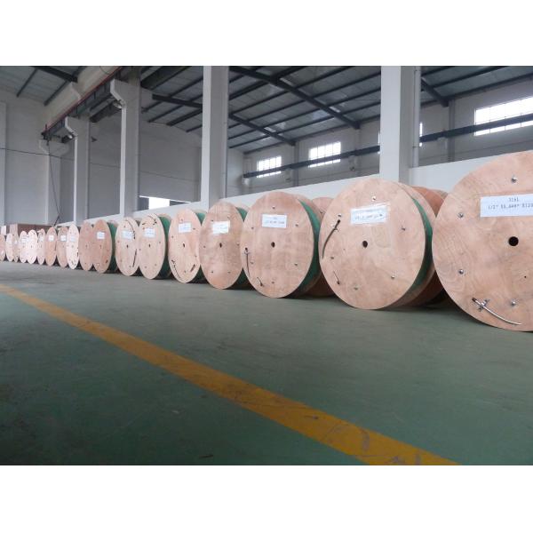 TP304 / 316L Seamless / Welded Stainless Steel Control Line tubing