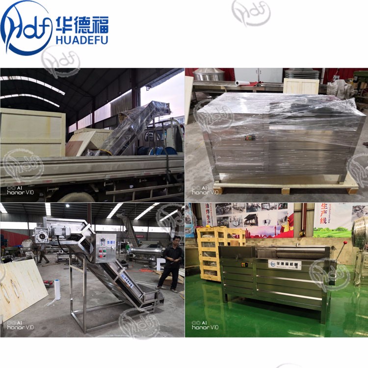 Automatic fruit and vegetable processing line spinach washing and drying machine