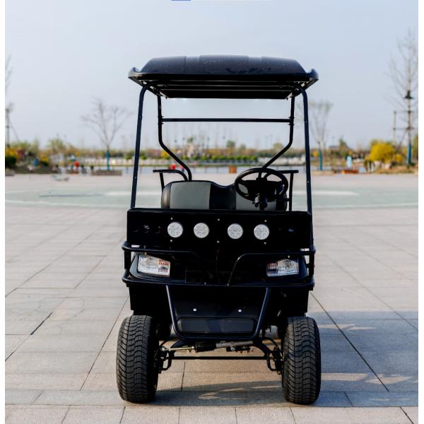 Customizable Rechargeable High-end Electric Golf Buggy CE Approved Electric Golf Cart