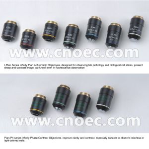 Buy cheap Infinity Binocular Compound Microscope With Infinity Plan Objective A12.0908 from wholesalers