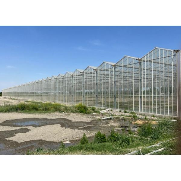 10x10 10x12 10x6 Aluminum Venlo Glass Greenhouse Grow Rose With Cooling System Ventilation System