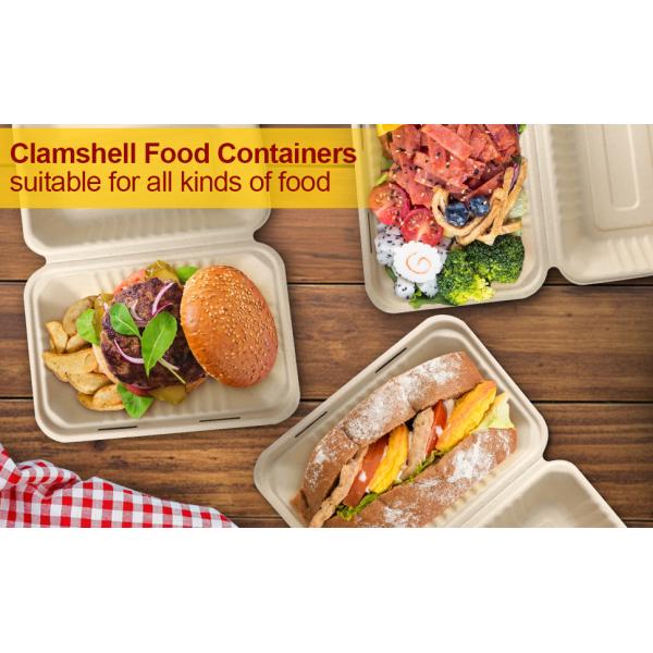 Clamshell Take Out Food Containers, 75 Pack Disposable To Go Containers, Compostable To Go Boxes, Biodegradable