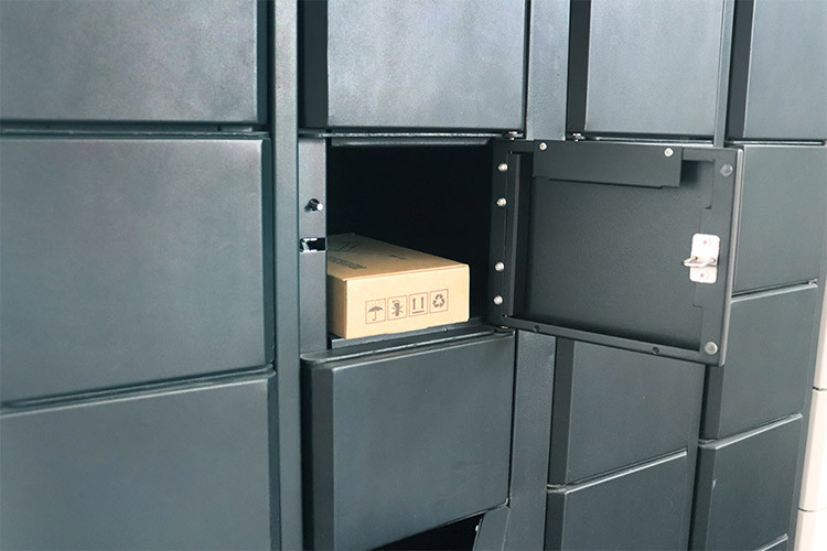 OEM 12V Solenoid Cabinet Lock With Status Feedback
