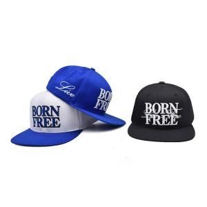 China 3d Embroidery Cap Snapback Wholesale Custom Embroidery Snapback Hat on sale