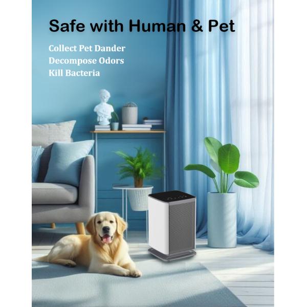 air purification system hepa filters for home
