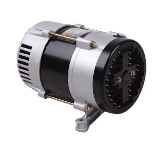 1KW Direct Connection High Output Alternator AC Power