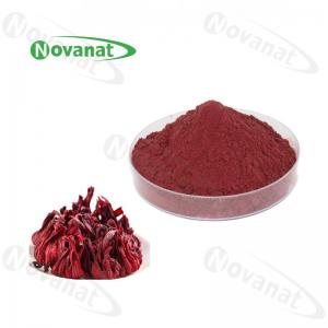 China Roselle Extract Powder / Hibiscus Flower Extract Rich In Vitamin C / Pure Flavor / Clean Label on sale