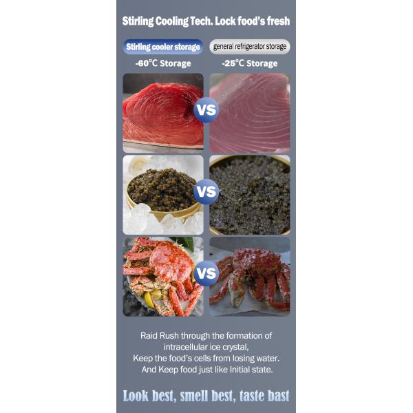 12V/24V -60 Degree Deep Cold Storage and Transfer Portable Freezer for Mini Cars