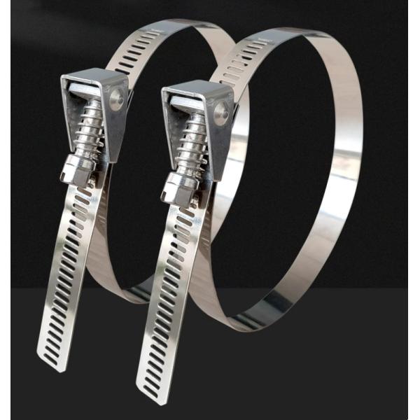 Self-locking Stainless Steel Cable Ties for Heavy Duty Applications 4.6*300mm SS304/316 Fscat