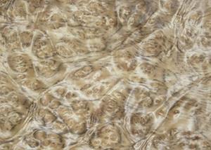 China 0.5 mm Mappa Burl Wood Veneer , Nardwood Thin Wood Veneer Sheets on sale