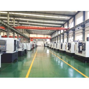 Shandong Matsumoto Machine Tool Co., Ltd.