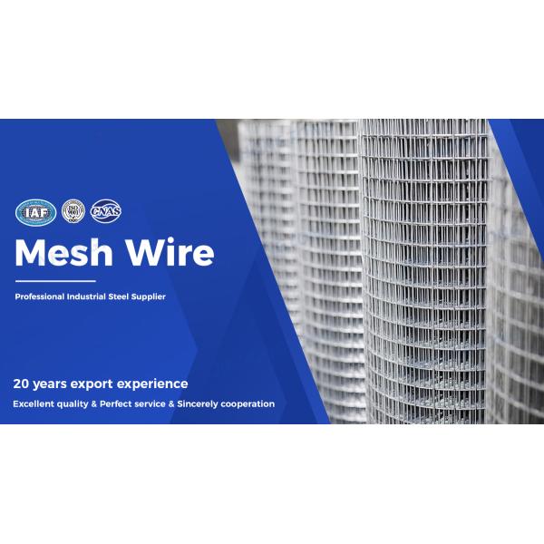 Decorative Wire Mesh Sheet with Customized Color and ISO Certification