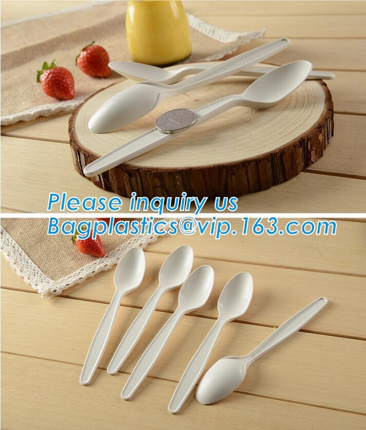 Disposable Plastic food delivery box Printing Sushi Tray For Food Packaging,HIPS Material Disposable Black Plastic Food