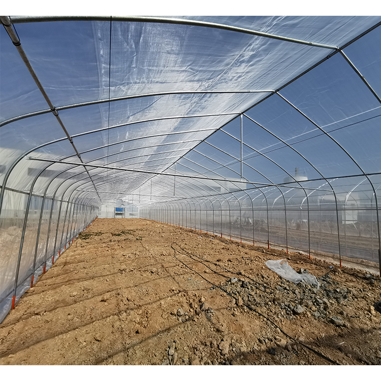 Garden Single Tunnel Greenhouse Eco Friendly Film type For Crop Production