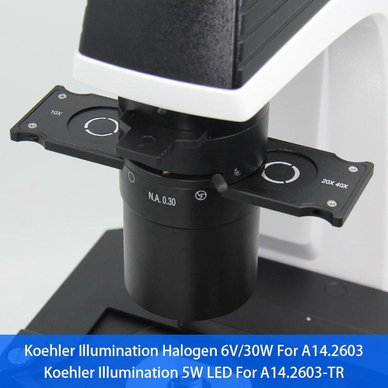 WF10x / 22mm Trinocular Inverted Biological Microscope A14.2603 Large Diameter Quintuple