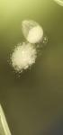 HAA Curing 92/8 Resin Superdurable Fast Cure Componet