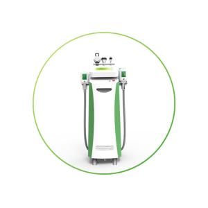 Quality Cryolipolysis Cellulite Removal Machine Cryolipolysis Slimming Machine For Clinic wholesale