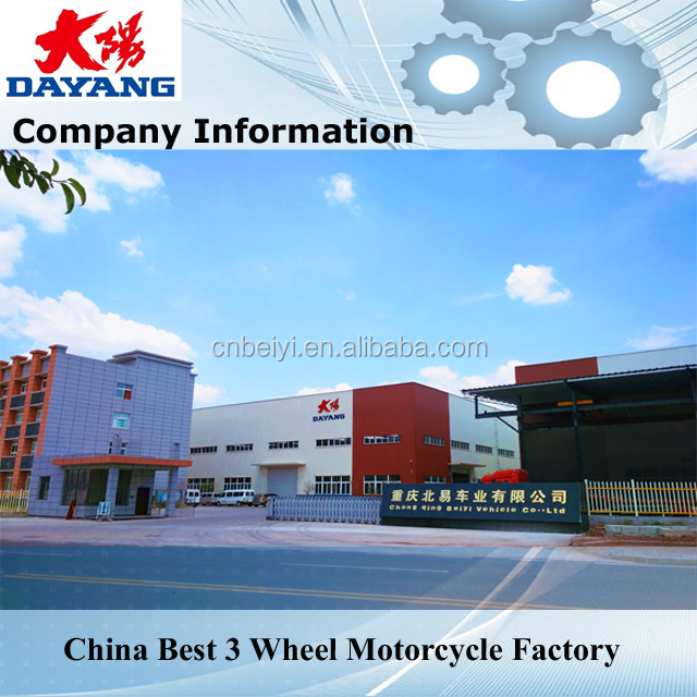 Air Cooled Engine Dayang 200cc/250cc/300cc Three Wheels Motorcycle for Petrol Gasoline