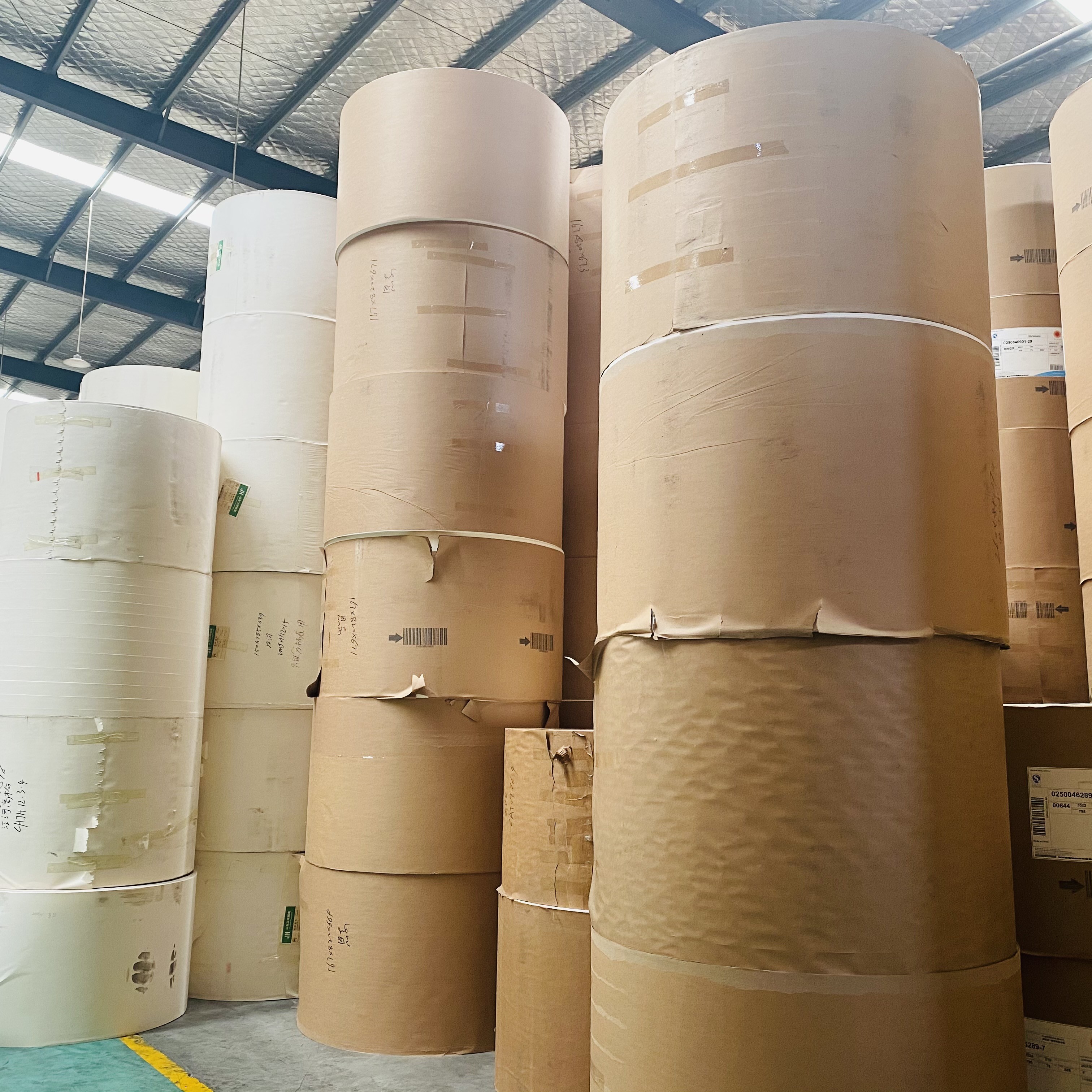 120mm PE Coated Paper Roll Used For Food Grade Hot Cups Custom Printing