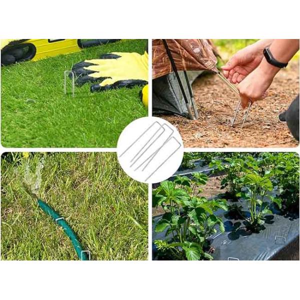 Staples For Installing Rat Proof Welded Mesh Lawn