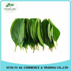 China Natural Persimmon Leaf Extract Powder 10:1 20:1 on sale